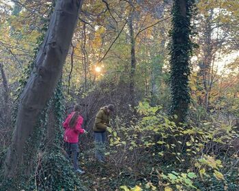 Zwei Mädchen suchen das Gestrüpp unter Bäumen nach liegengebliebenem Abfall ab.