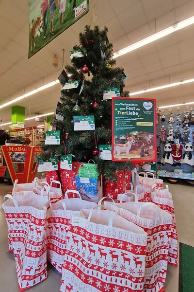 Ein Weihnachtswunschbaum vor dem rot-weiße Geschenktüten stehen.