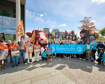 Eine Gruppe Demonstranten mit Plakaten in hellblauen Jacken