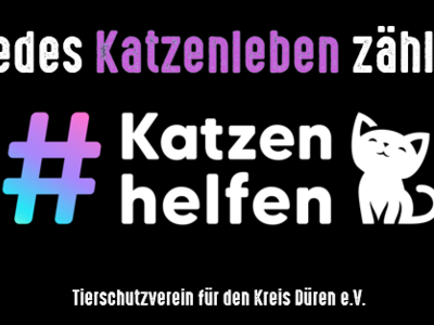 Kampagnentext, Katzenzeichnung und Hashtag-Hinweis in weiß-violett-blau auf schwarzem Hintergrund