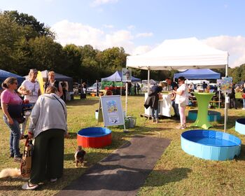 Sommerfest und Tierischer Markt 2024