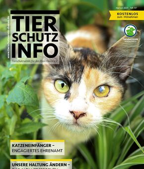 Tierschutz-Info Herbst 2021
