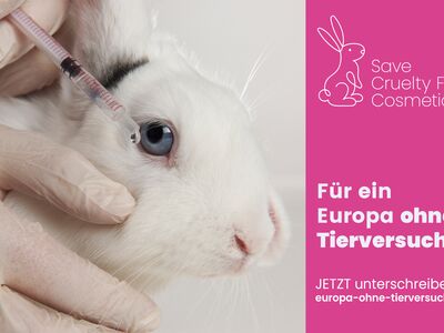 Kampagnenbild mit dem Foto eines weißen Kaninchens, dem man mittels Pipette eine Flüssigkeit ins Auge träufelt.