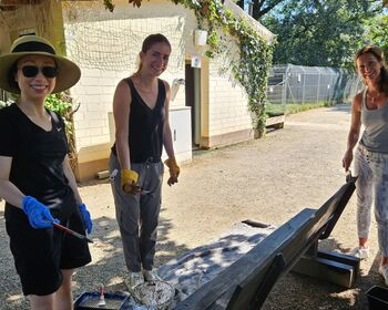 Drei Frauen streichen draußen ein Holzbank.