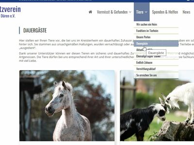 Ein Screenshot der Unterseite "Dauergäste", mit Text, Auswahlmenü sowie dem Foto eines Ponys und eines von zwei Ziegen.