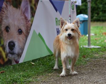 Tierschutz verein(t) Verschmelzungsfest