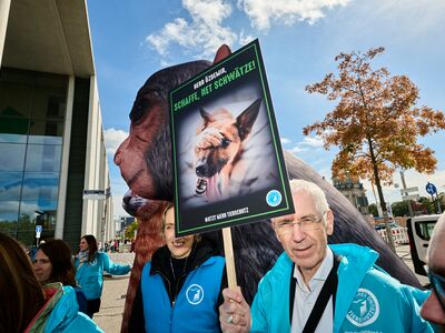 Ein überlebensgroßes Tiermodell und einige Demonstranten mit teils Plakaten