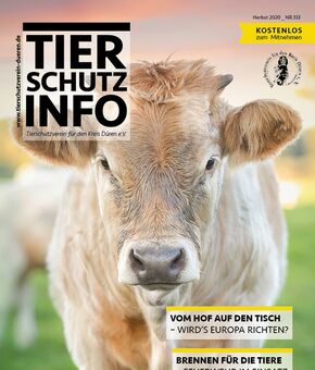 Tierschutz-Info Ausgabe Herbst 2020