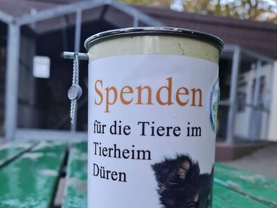 Eine Spendendose mit Aufschrift und Foto von Hund und Katze steht auf einem grünen Tisch vor den Vogel-Volieren im Tierheim.