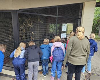 Eine Gruppe Kinder schaut in eine Vogelvoliere.