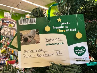 Eine Wunschkarte mit dem Foto eines Hundes und dessen Weihnachtswunsch.