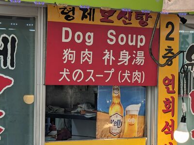 Plakat eines Restaurants mit Reklame für Suppe aus Hundefleisch.