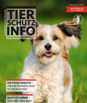 Tierschutz-Info Ausgabe Frühling 2019