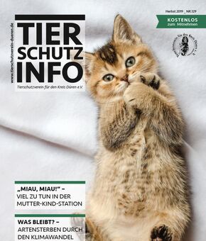 Tierschutz-Info Herbst 2019