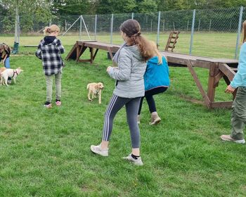 Mehrere Mädchen beschäftigen sich mit drei Labrador-Welpen auf einer Wiese mit Hunde-Trainingsgeräten.