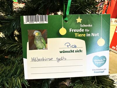 Eine Wunschbaumkarte mit dem Foto eines grünen Vogels und Text.