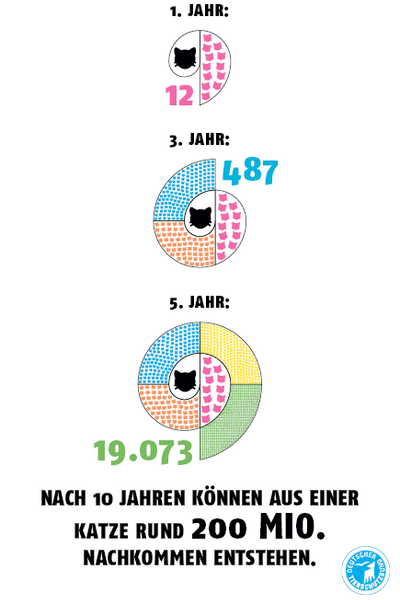 Grafik zur Vermehrungsrate von Katzen.