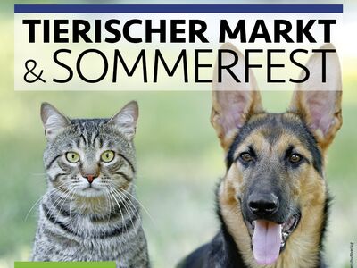 Flyer zum Sommerfest mit den Daten zum Fest als Textaufdruck und dem Foto eines Schäferhundes und einer grau-getigerten Katze die nebeneinander sitzen.