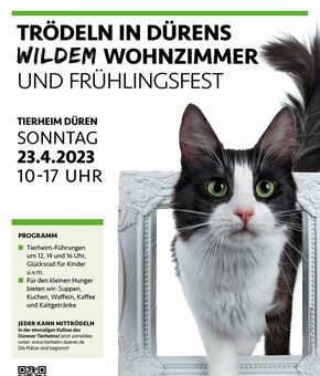 Poster zum Event mit einer Katze, die durch einen alten Bilderrahmen steigt, Text mit Daten und Programm sowie Logos der Tierheim-Partner, Sparkasse Düren und Fressnapf.