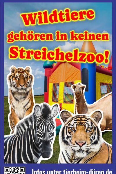 Ein Poster mit Fotomontage aus diversen Wildtieren, darunter Tiger, einer Hüpfburg und Aufschrift.