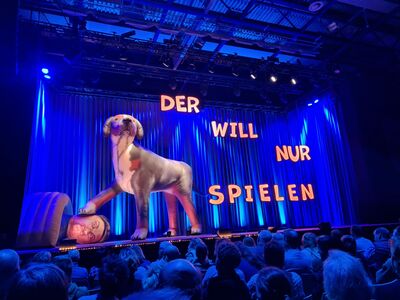 Vor dem noch geschlossenen Bühnenvorhang steht in blauem Lichtein riesiger aufgeblasener Plastikhund, der eine Pfote auf  den Kopf eines liegenden aufblasbaren Plastik-Menschen hält.