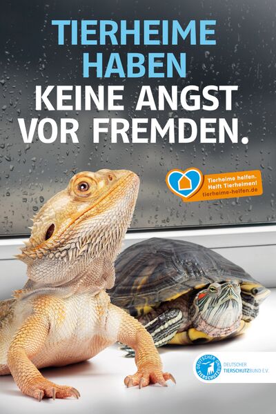 Poster mit Exoten und Aufschrift "Tierheime haben keine Angst vor Fremden"