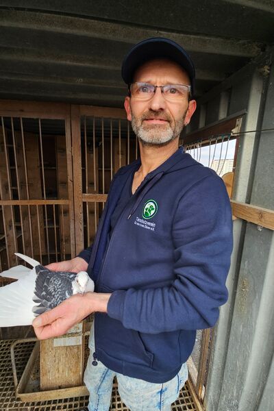 Ein Mann in Tierheim-Kleidung vor einem Taubenschlag mit einer Taube in den Händen.