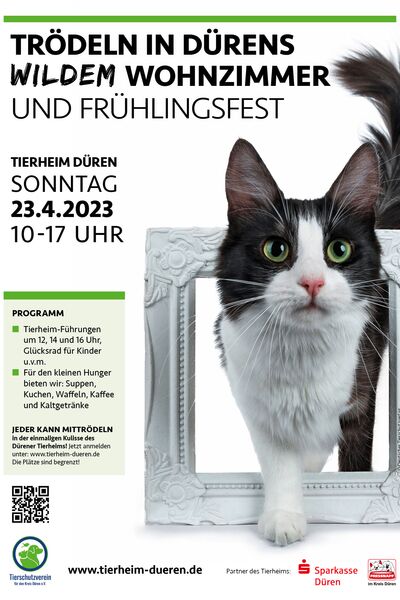 Poster zum Event mit einer Katze, die durch einen alten Bilderrahmen steigt, Text mit Daten und Programm sowie Logos der Tierheim-Partner, Sparkasse Düren und Fressnapf.