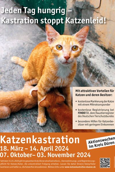 Kampagnenposter mit Foto von Mutterkatze und Jungen sowie Text und Daten.