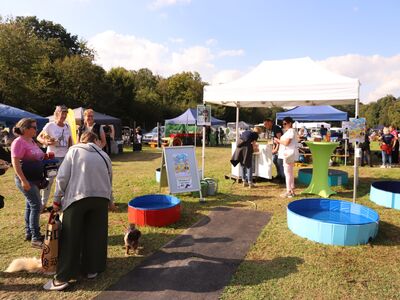 Sommerfest und Tierischer Markt 2024