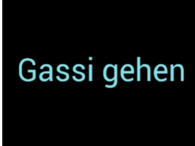 Schriftzug "Gassi gehen, in blau vor schwarzem Hintergrund.