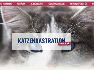 Screenshot der Katzenkastrations-Seite.