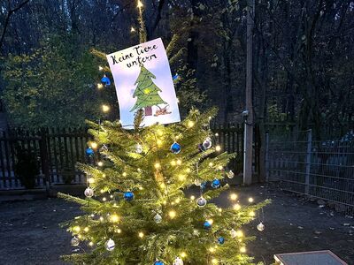 Ein beleuchteter Weihnachtsbaum mit Plakat oben "Keine Tiere unterm Weihnachtsbaum"