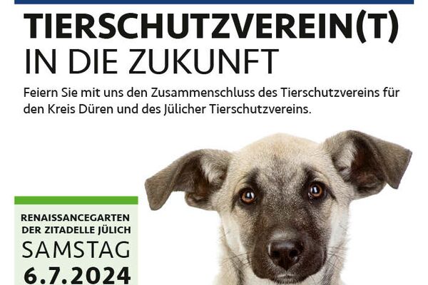 Plakat zum Event mit dem Foto eines Hundes der eine Katze mit den Pfoten umarmt und Text.