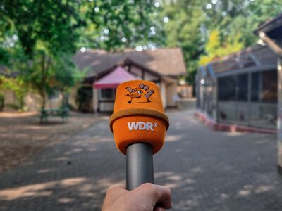 Ein oranges Mikrofon mit dem Bild der Maus sowie den Aufdruck "WDR" wird vor die Kamera gehalten. Dahinter leicht verschwommen ein Weg mit Volieren und dem Tierheim-Büro.