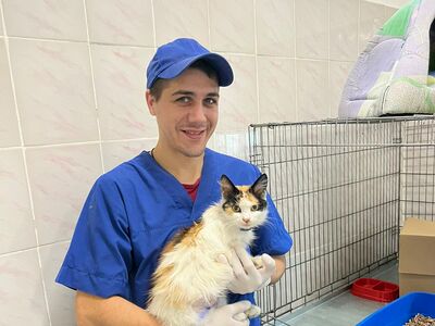 Ein Mann steht vor einem geöffneten Katzengehege und hält eine Katze im Arm.