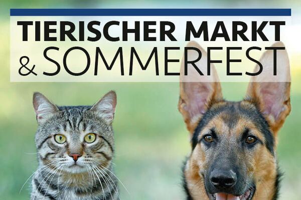 Flyer des Sommerfestes 2024 mit Text und dem Foto einer Katze und eines Schäferhundes.