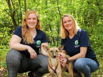 Zwei Frauen in blauen Tierheim-Shirts knieen im Wald rechts und links von einem Hund